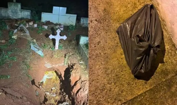 Homem sonha com a mãe morta e desenterra ossada em cemitério